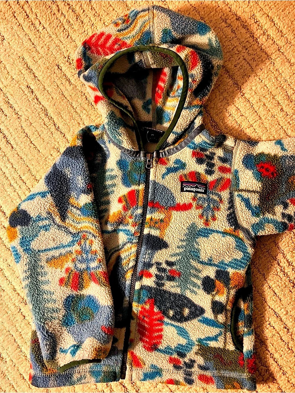 Patagonia Baby Synchilla Fleece Hoody Boys 2T